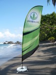 Beach_Flag.jpg
